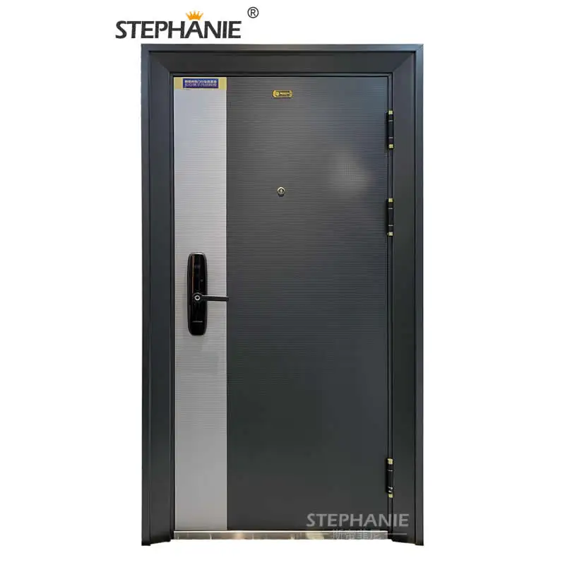 high security steel entrance door systems