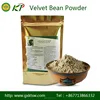 Supplement Bulk Powder Mucuna Pruriens Male Sexual Functions