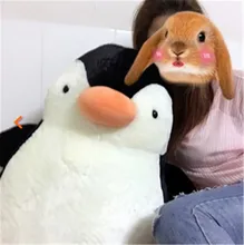 HTB1PEZ3NVXXXXa_apXXq6xXFXXXS