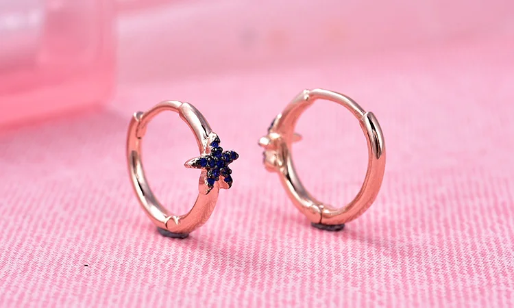 POLIVA Fashionable 925 Sterling Silver CZ Stone Earrings Star Lovisa Fancy Earrings