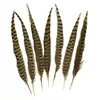 Whosale beautiful natural reeves pheasant feather tail 30-35cm 12-14 inches many sizes