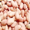 processing type raw peanut and blanched peanuts type peanuts in shell