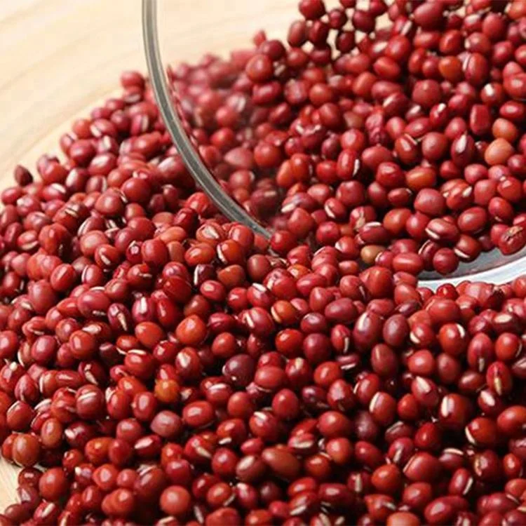 New Crop Common Red  Pearl Red Small Red Beans Adzuki Beans