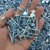 Galvanizing plants / electroplating bath / barrel electroplating line