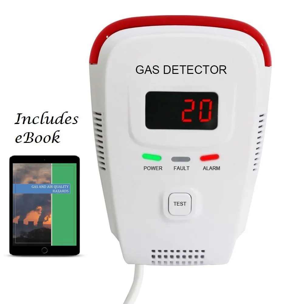 Combination Gas & Carbon Monoxide Detectors zinnor Gas ...