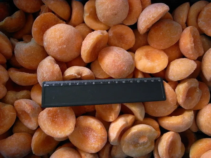Apricot 2.jpg