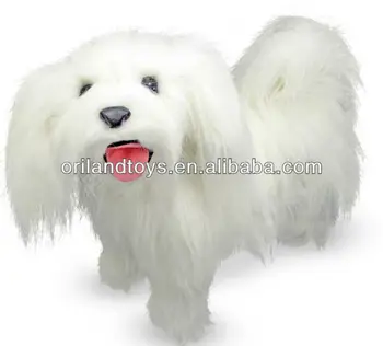 peluche maltese