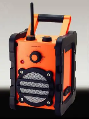 WM2428 orange.JPG