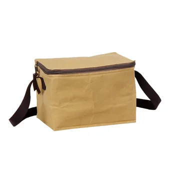 insulated paper bag