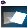 Flexible big size el led paper/el panel electroluminescent with power supply