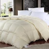 Wholesale hot sale high quality beautiful new style down winter comforter quilt