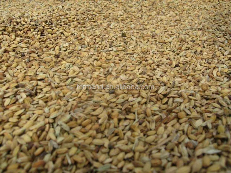 Сорные семена в пшенице. Примеси в крупе. Зерносмесь пшеница и ячмень. Зерновая примесь в пшенице. Сорная и зерновая примеси пшеницы.