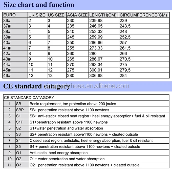dot safety boots price