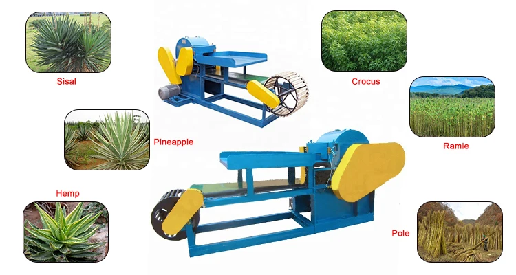 wholesale price 2T/h agricultural fibers automatic sisal hemp extracting machine