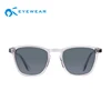 Chinese Factory New Fashion Transparent Acetate Frame With Tortoise Temple Tip Sunglass