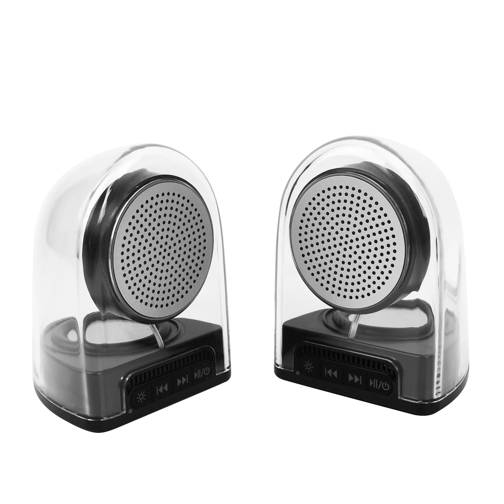 tws speaker (1).jpg