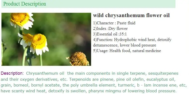 Pure Chrysanthemum Oil Bulk Buy Chrysanthemum Oil