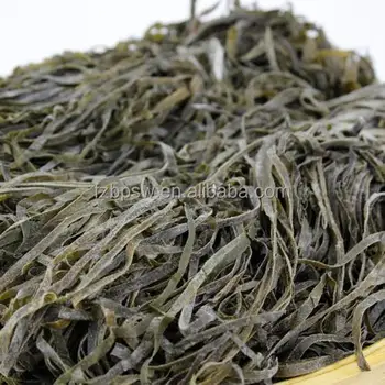 kelp laminaria japonica