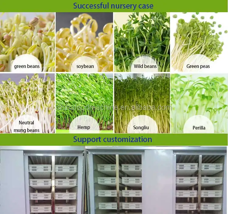 400 kg tray type commercial electric automatic hydroponic barley green beans seedling mung bean sprout machine
