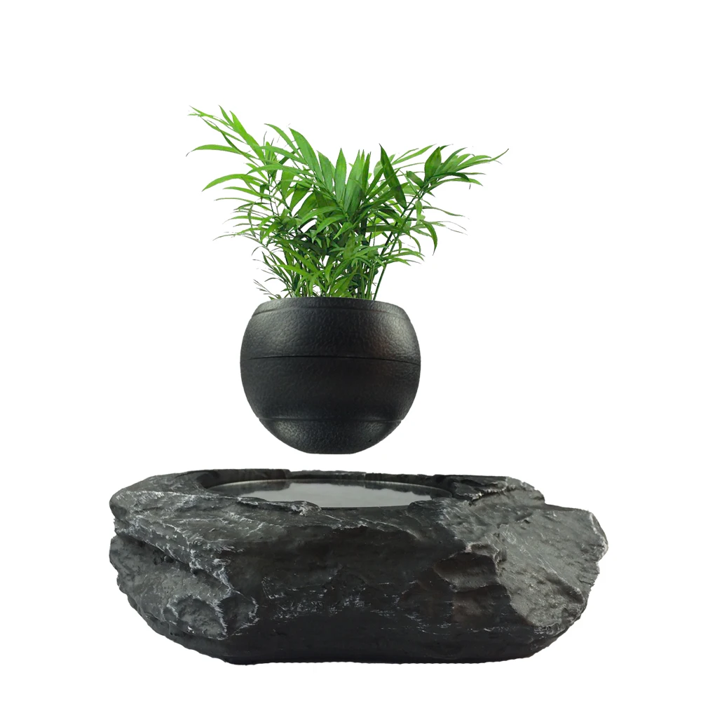 New design magnetic floating air plants bonsai in the air from HCNT