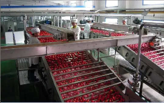 Factory Price Automatic Tomato Sauce Ketchup Production Line Tomato Paste Making Machine