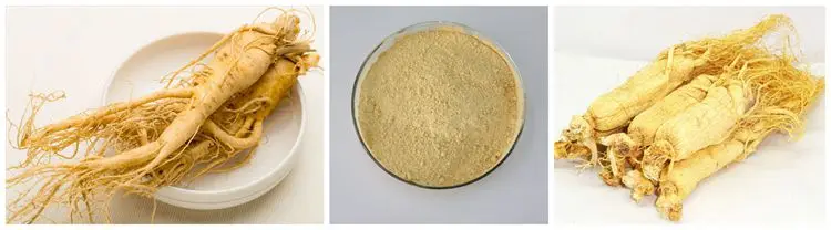High Quality Ginseng Powder 100% Soluble in Water Panax Ginseng Extract