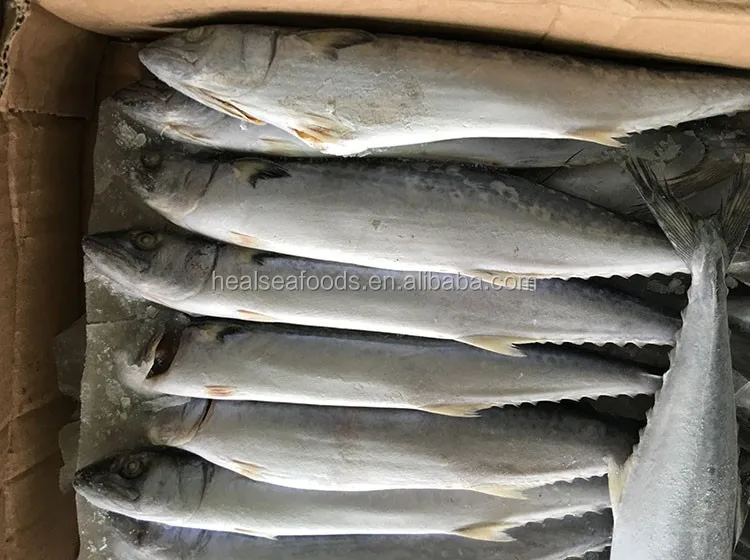 キングフレッシュワフー魚冷凍サワラ Buy ワフー魚 新鮮な王魚 サバ Product On Alibaba Com