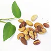 High Quality Healthy Snacks Bulk Salted Mixed Nuts
