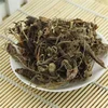 Gan song Hot sale high quality wild nardostachyos root/nard/spikenard leaves