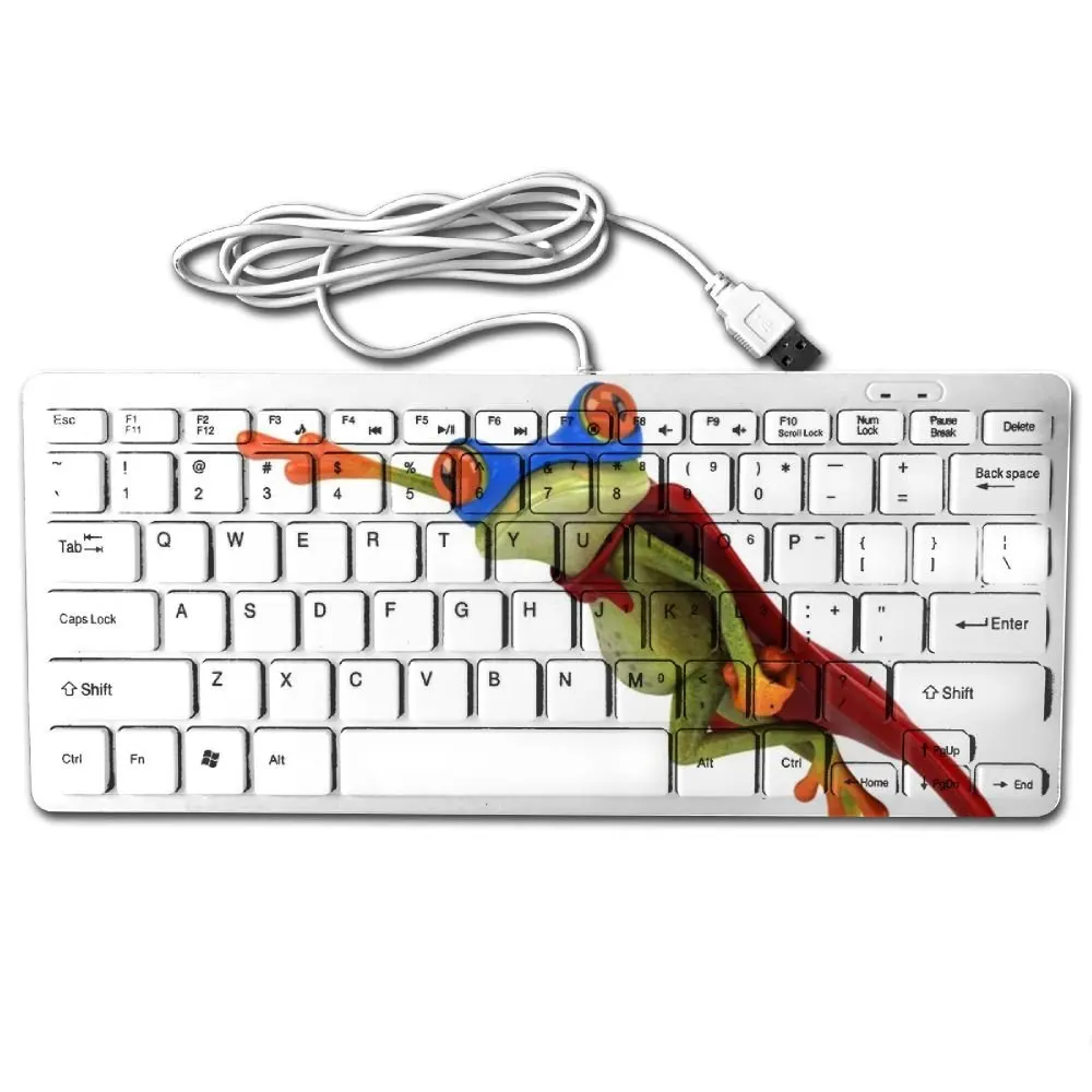 Cheap Frog Keyboard, find Frog Keyboard deals on line at