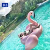 Custom New products PVC giant water floating Rose Gold flamingo pool toys inflatable flamingo float for sale