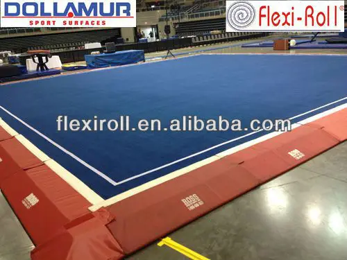 2013 world cheerrleading champinsip_