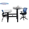 Height Adjustable Electric Executive Office Desk Sit Stand Desk