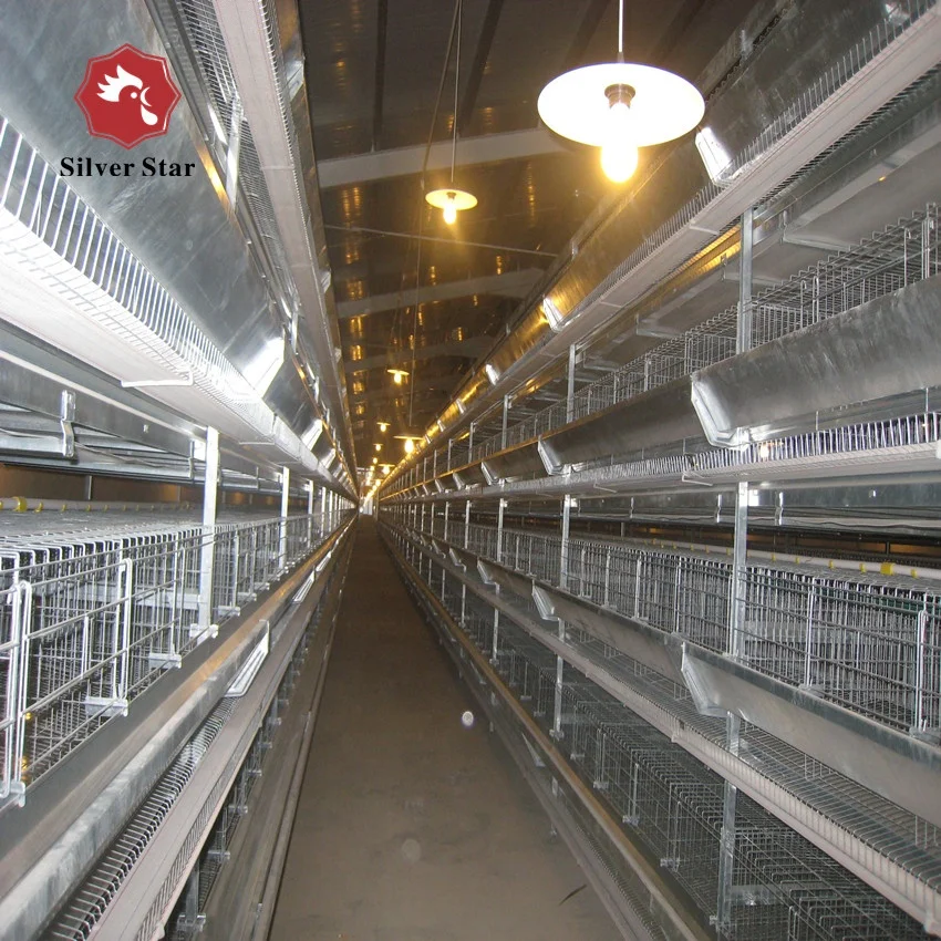poultry farm automatic chicken door