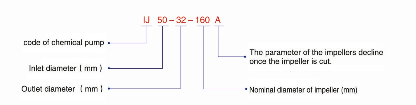 IJ-1.jpg