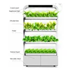 2018 Shenzhen 4 tier rack full spectrum indoor vertical hydroponic growing systems greenhouse for lettuce leafy plants