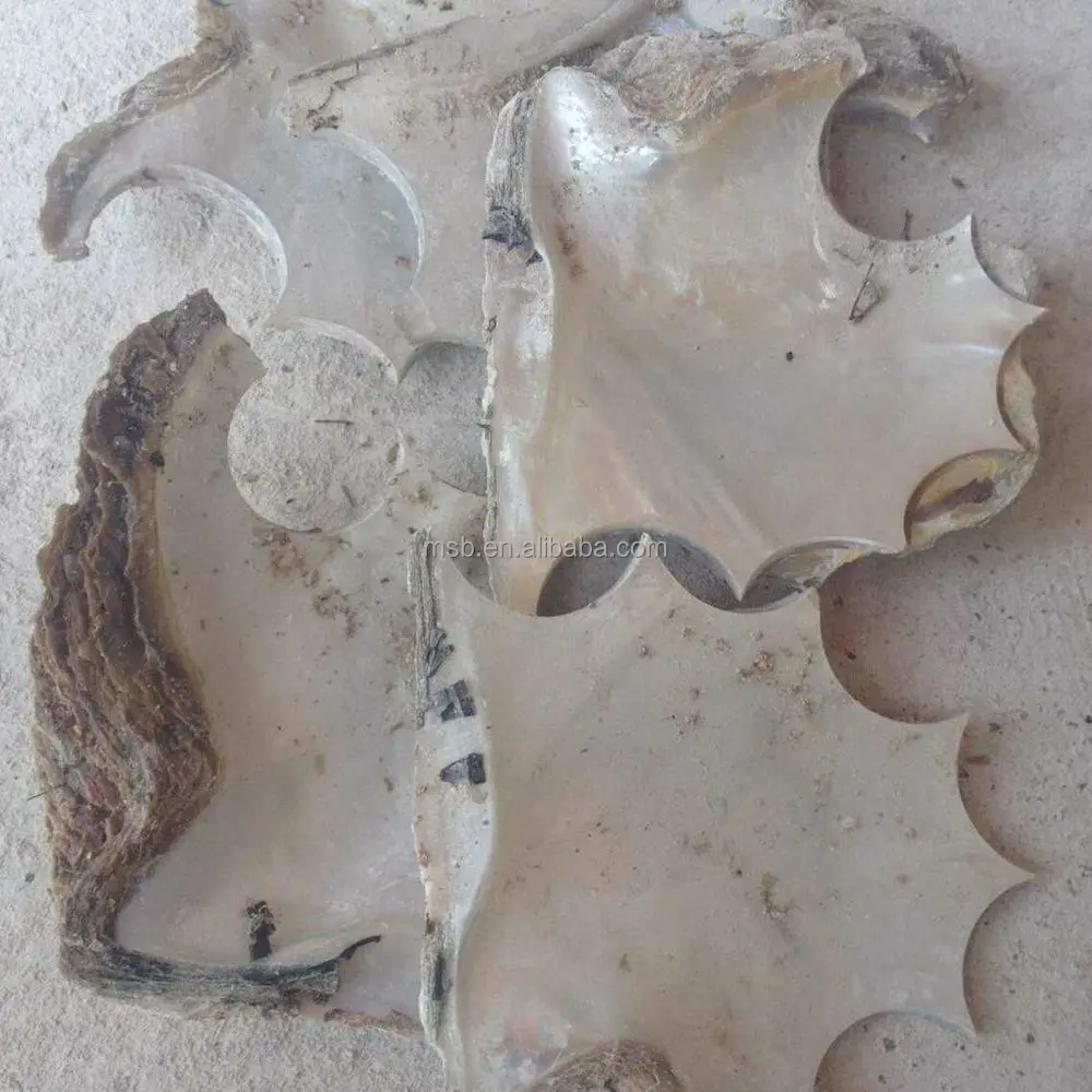 Headpart Mop Shell Seashell Scrap Buy Shell Scrap,White Mop Shell