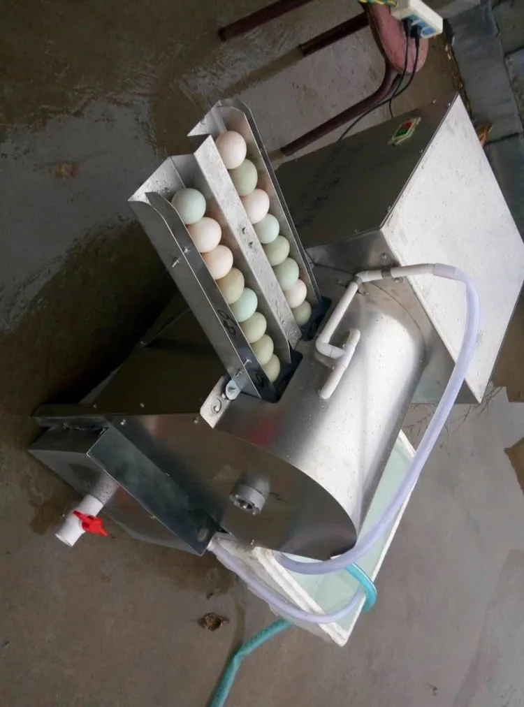 Small Poultry Egg Washing Cleaning Machine Egg Washer Buy Small Egg