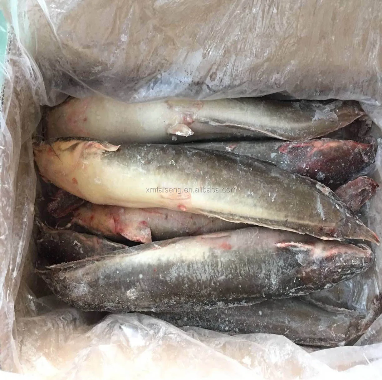 Frozen Fresh Whole Round Catfish Fish Buy Frozen Catfish Fish,High