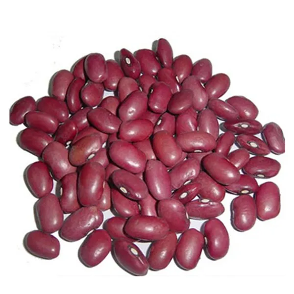 red kidney bean with double polished on hot sale