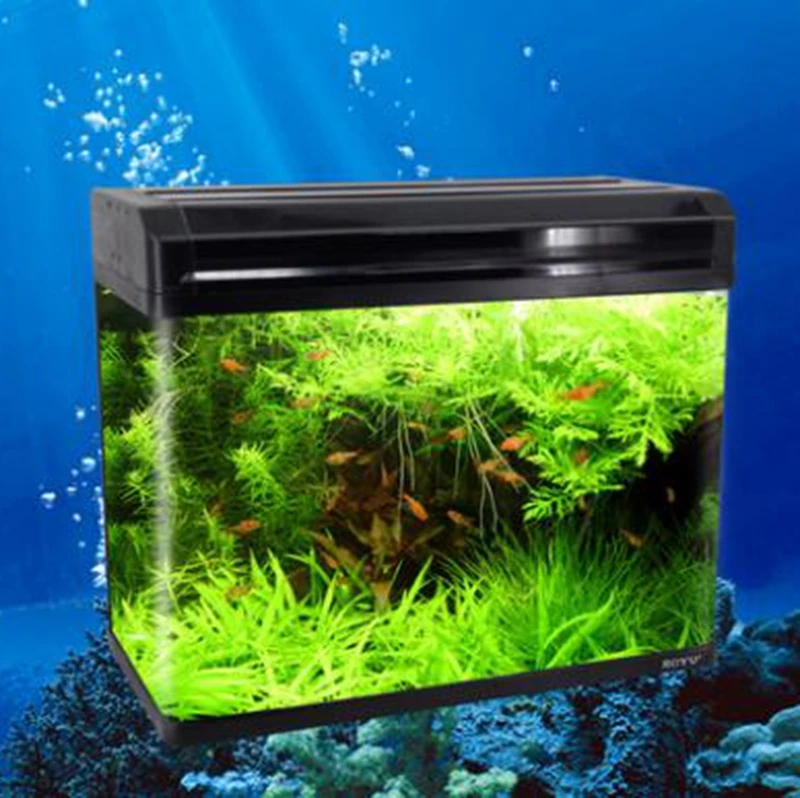 dream aquarium portable