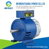 Magnetic Inverter alternator for hydroelectric generator