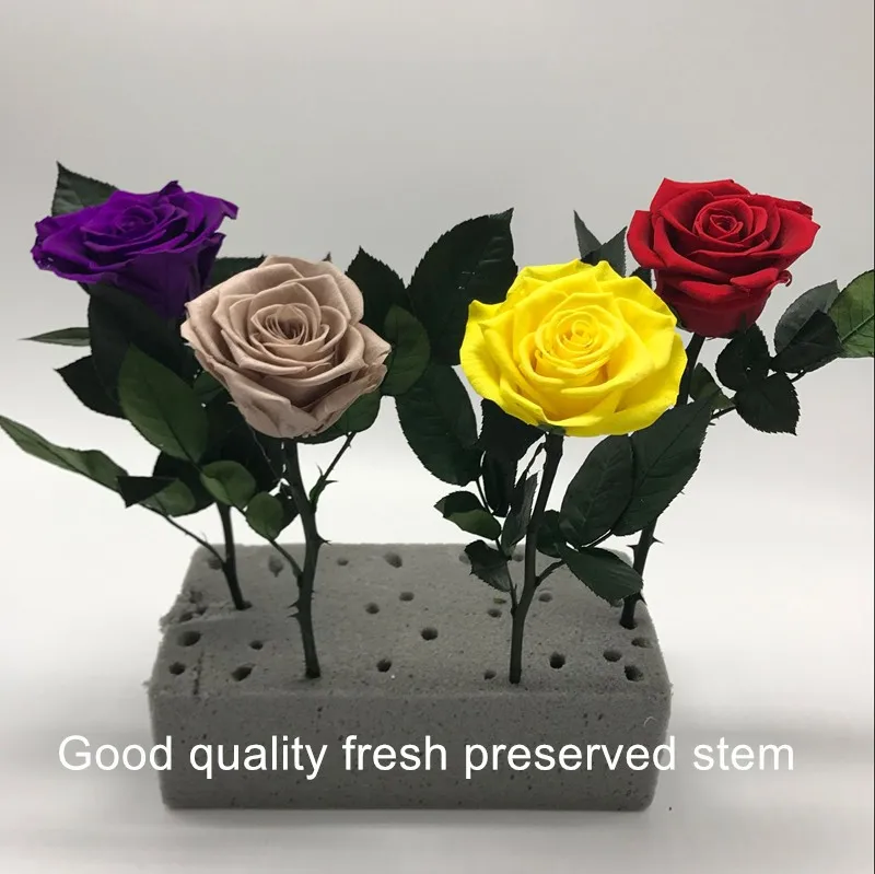 Wholesale Preserved Flower Real Stabilized Roses Beautiful Preserved