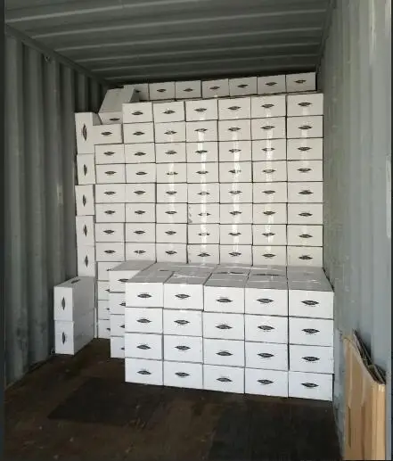 LOADING1.jpg