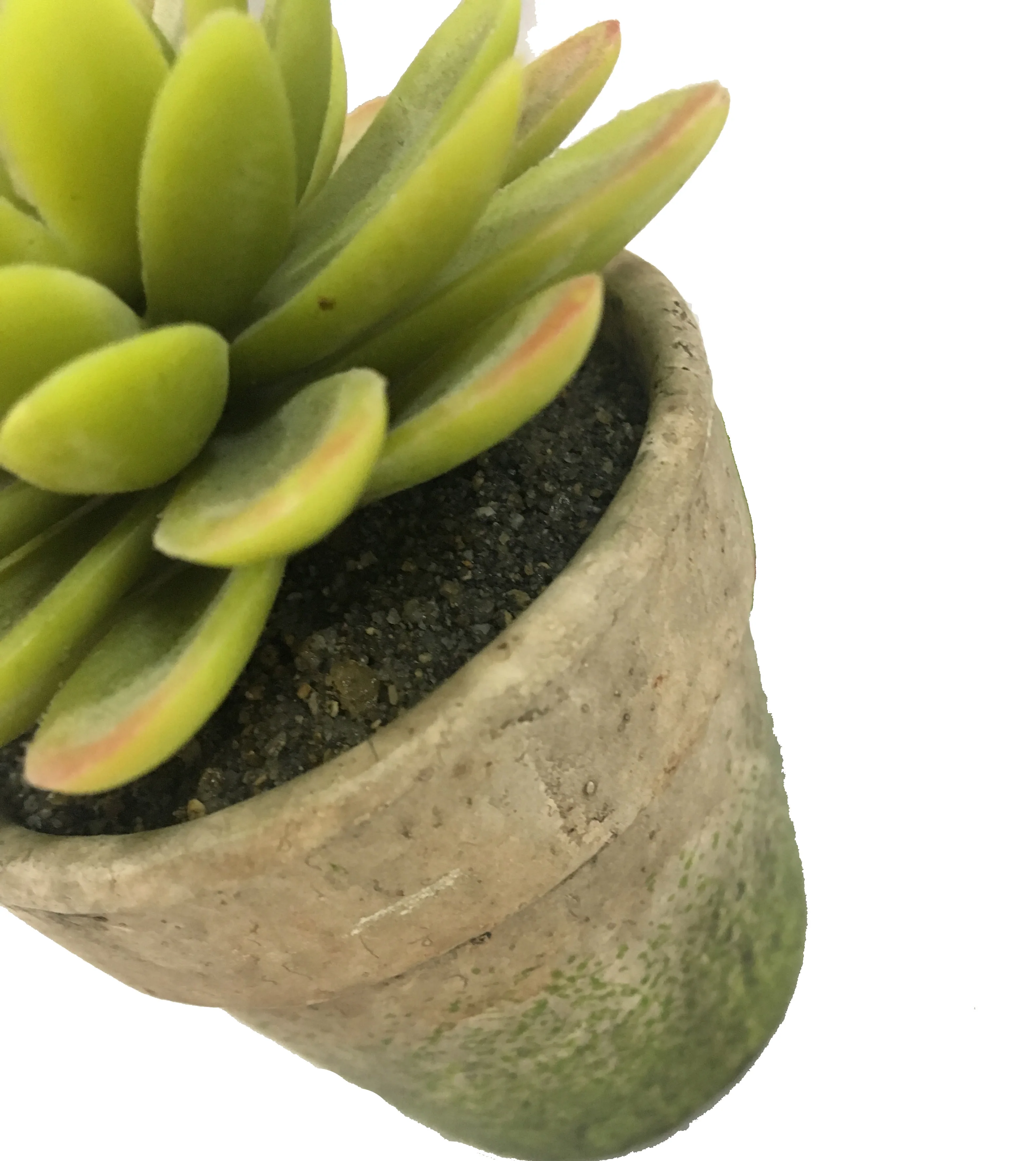small artificial yellow and green faux succulent plants with