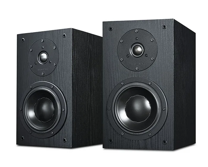 swan diy speakers