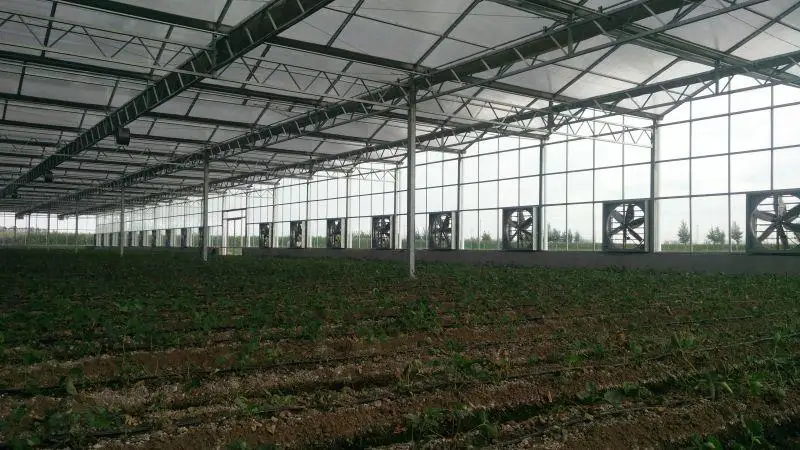 green house fan 1.jpg