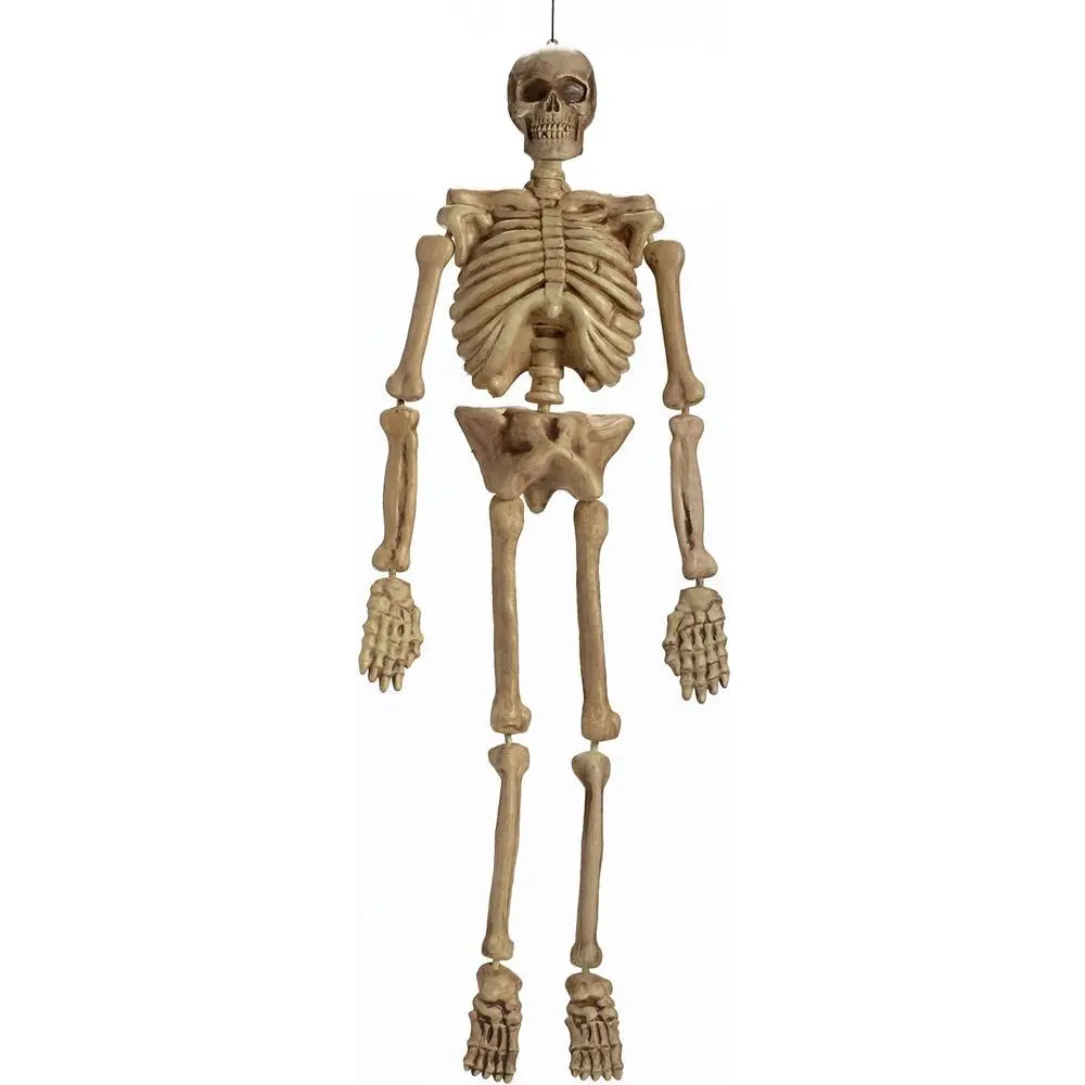 Cheap Life Size Skeleton Prop, find Life Size Skeleton Prop deals on line at