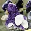 Wholesale Brazil Amethyst and calcite Geode stone price