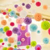 Hanging Wedding Party Favors and Events Paper Flowers Wholesale DIY Tissue Paper Pom Pom